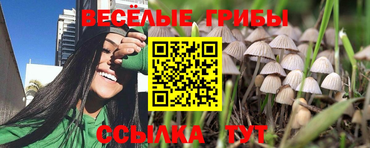 Псилоцибиновые грибы Magic Shrooms  Вход с VPN  Вятские Поляны 
